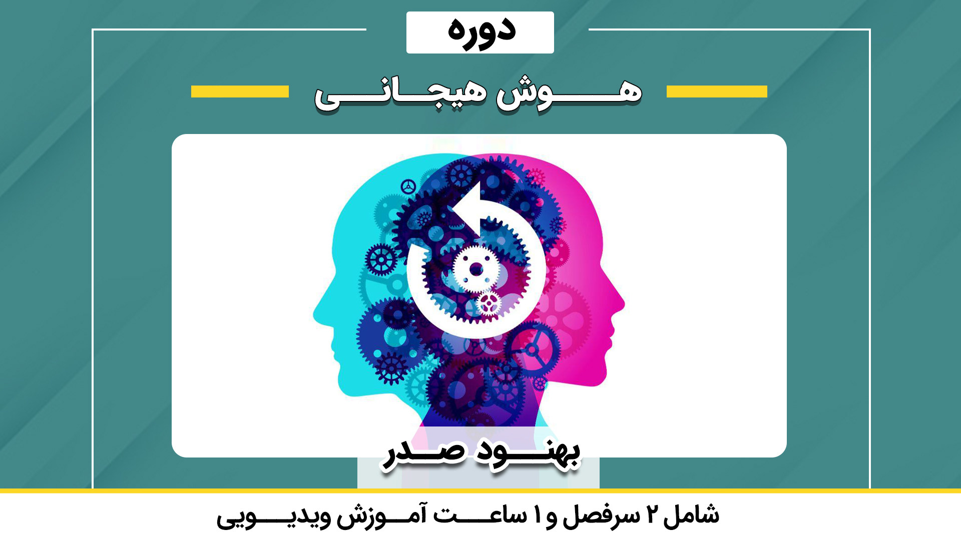 هوش هیجانی